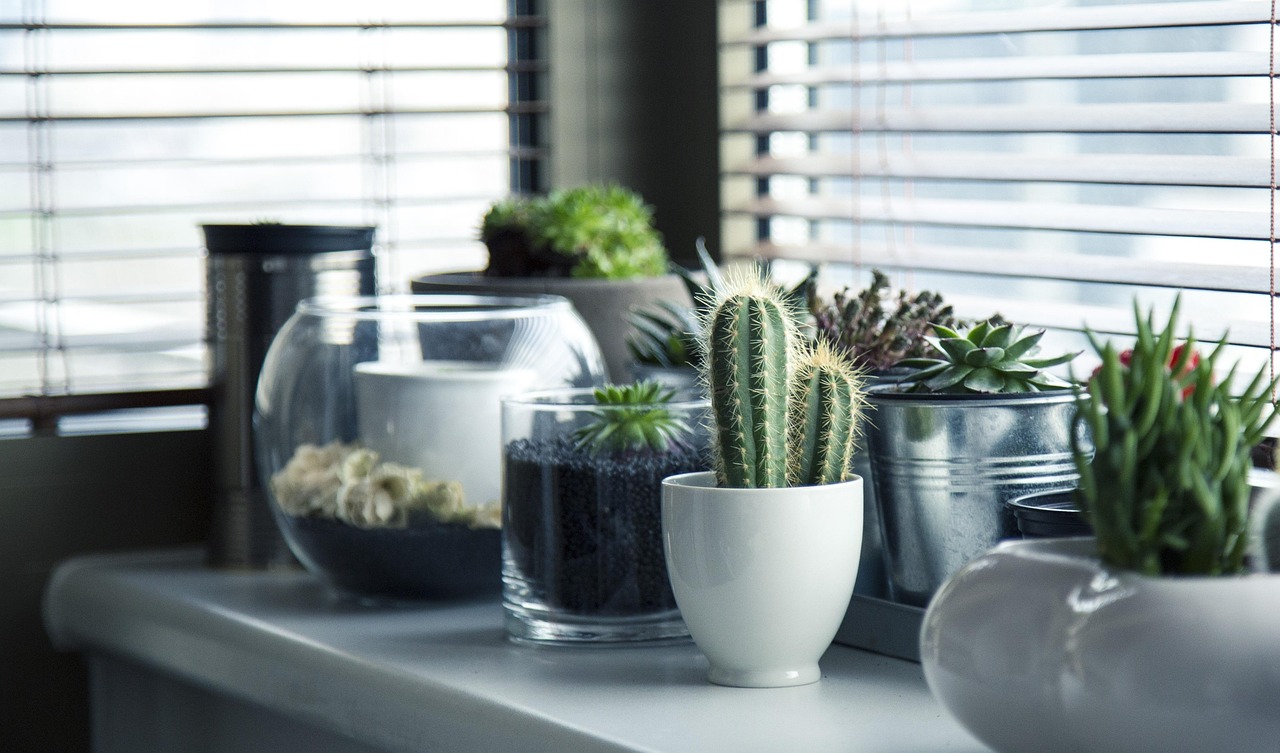Woonkamer met planten die lucht koelen. Woonkamer met planten die lucht koelen.